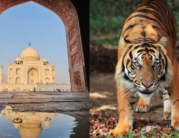Golden Triangle Tour With Ranthambore